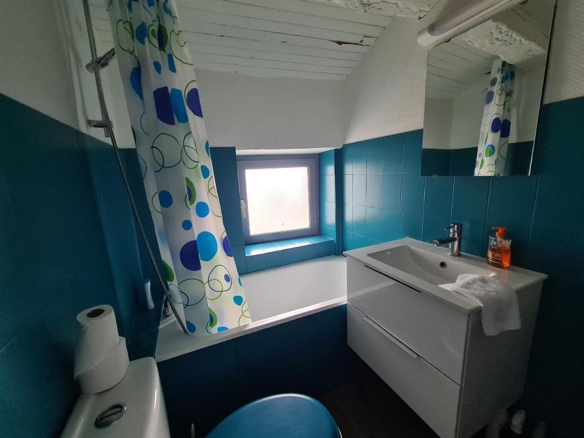 Les Cosy De Nancy - Le Duplex Aux Flammants Roses - 4Etoiles 아파트 외부 사진
