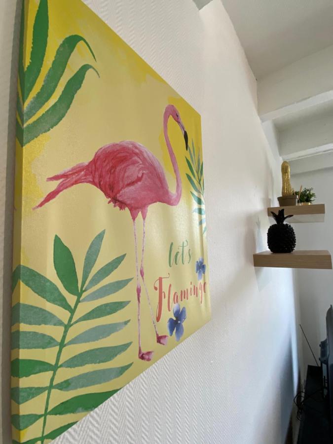 Les Cosy De Nancy - Le Duplex Aux Flammants Roses - 4Etoiles 아파트 외부 사진